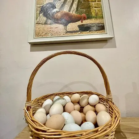 홈스테이 Quartos Privados - Quinta Da Paz *