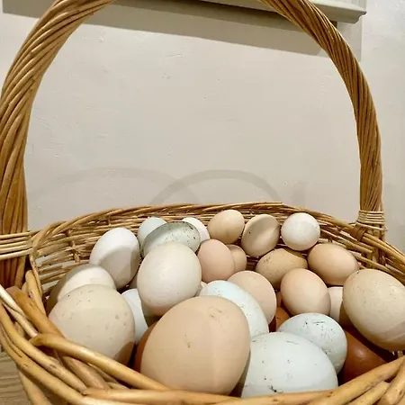 Privat bolig Quartos Privados - Quinta Da Paz *