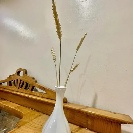 Quartos Privados - Quinta Da Paz 홈스테이 *