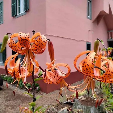 Privat bolig Quartos Privados - Quinta Da Paz