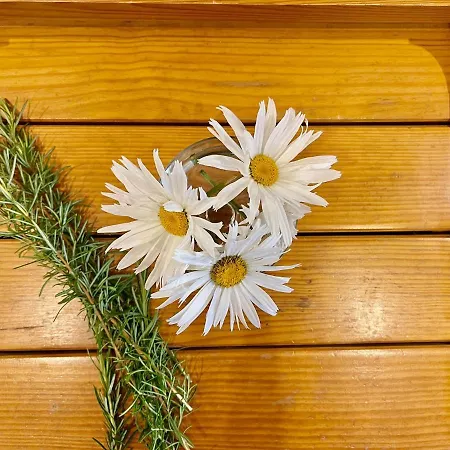 Privat bolig Quartos Privados - Quinta Da Paz *