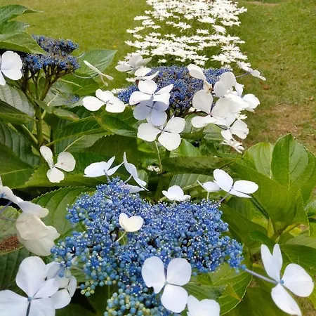 Habitación en casa particular Quartos Privados - Quinta Da Paz