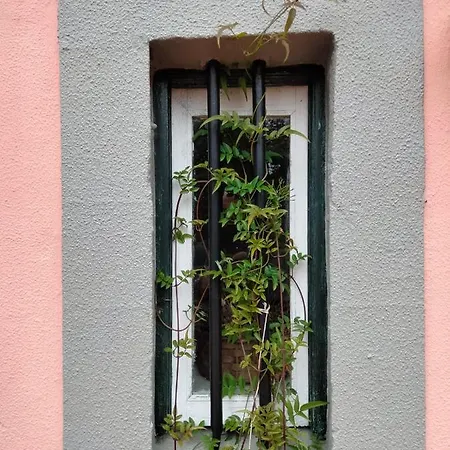 Quartos Privados - Quinta Da Paz Habitación en casa particular