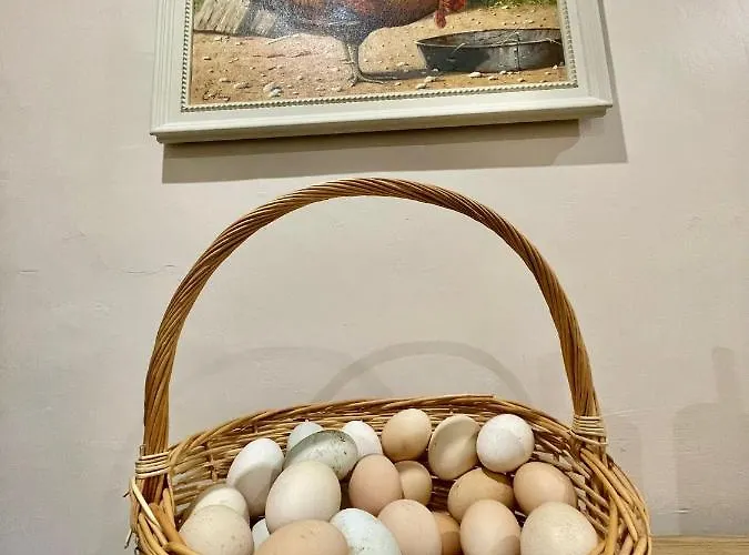 Séjour chez l'habitant Quartos Privados - Quinta Da Paz *