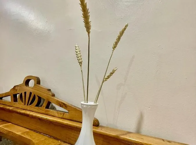 Quartos Privados - Quinta Da Paz Séjour chez l'habitant *